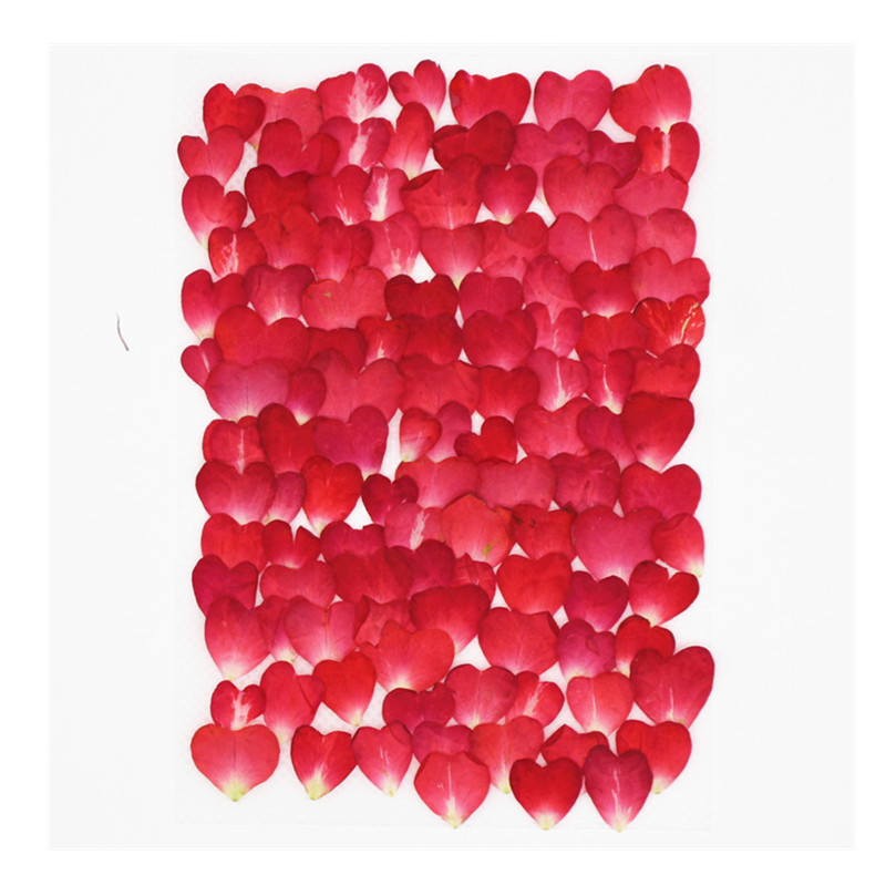 Resin Art Rose Petals - Pacote Misto com 120 Pétalas de