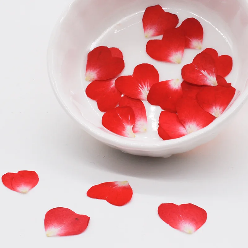 Resin Art Rose Petals - Real Natural Secas Pressionado Coração Flores