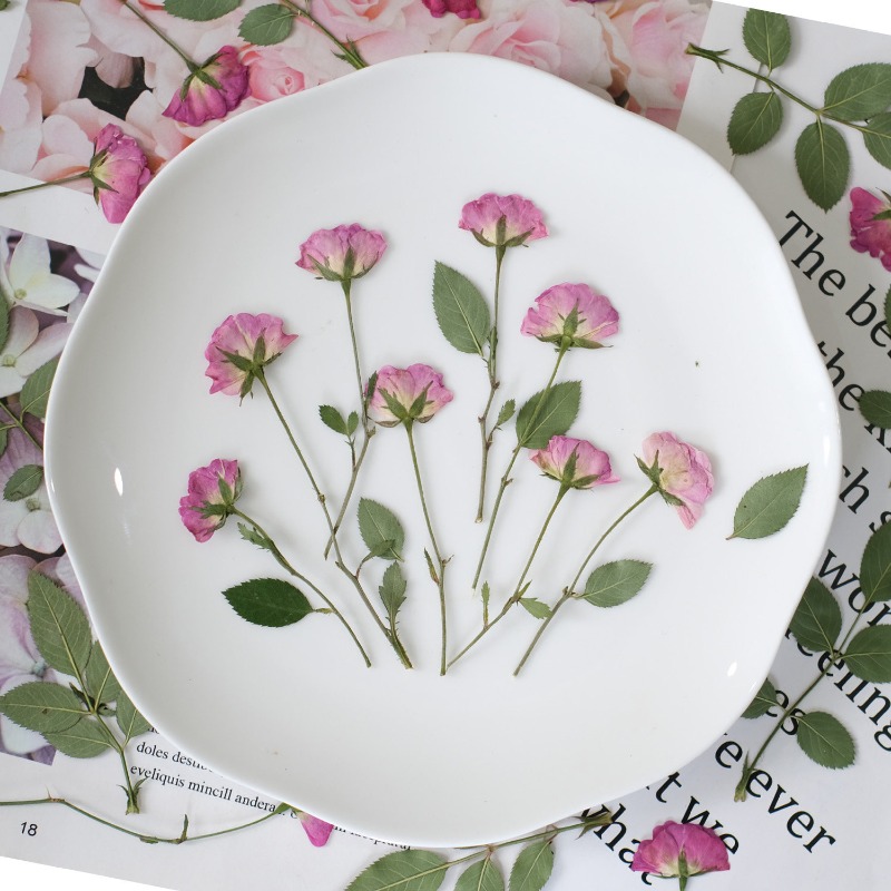 12 peças, Mini Rosas Reais Pre - Resin Art Rose Petals avaliação e preço