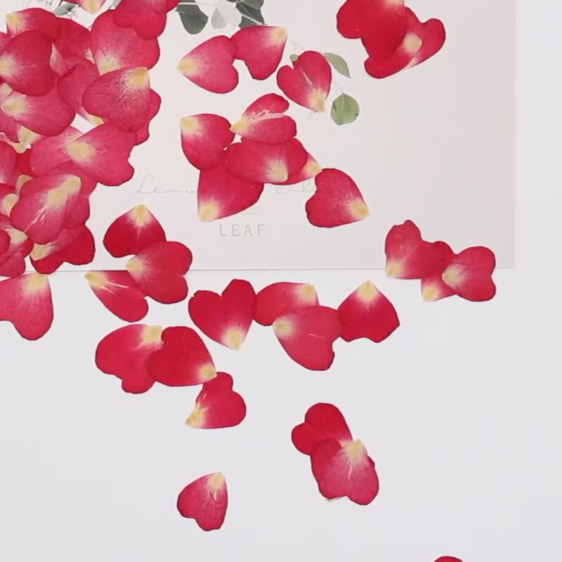 Pacote Misto com 120 Pétalas d - Resin Art Rose Petals avaliação e preço