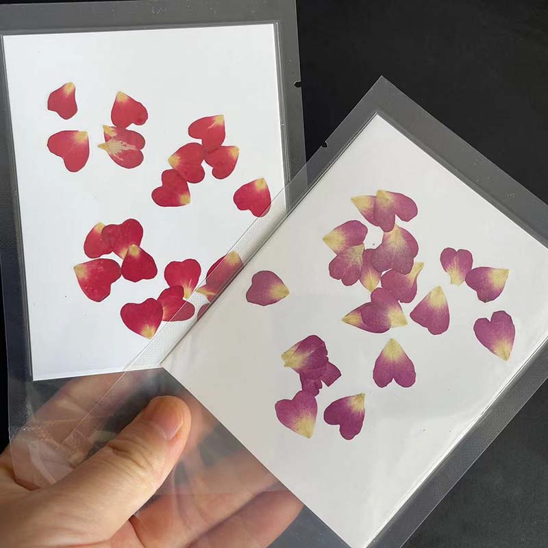 Real Natural Secas Pressionado - Resin Art Rose Petals avaliação e preço