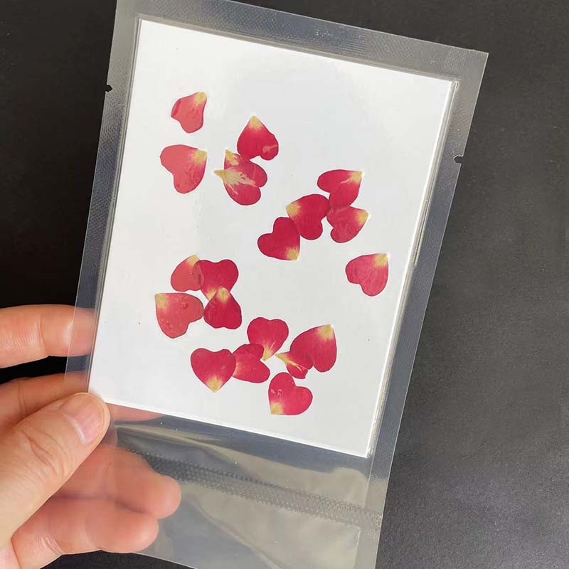 Real Natural Secas Pressionado - Resin Art Rose Petals avaliação e preço
