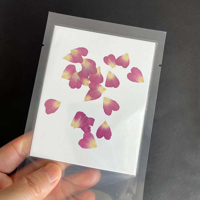 Real Natural Secas Pressionado - Resin Art Rose Petals avaliação e preço