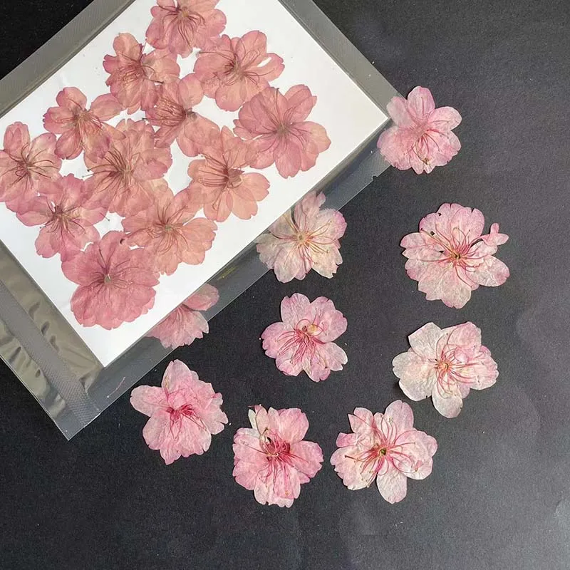 3-4.5cm/24pc real natural seco - Resin Art Rose Petals avaliação e preço