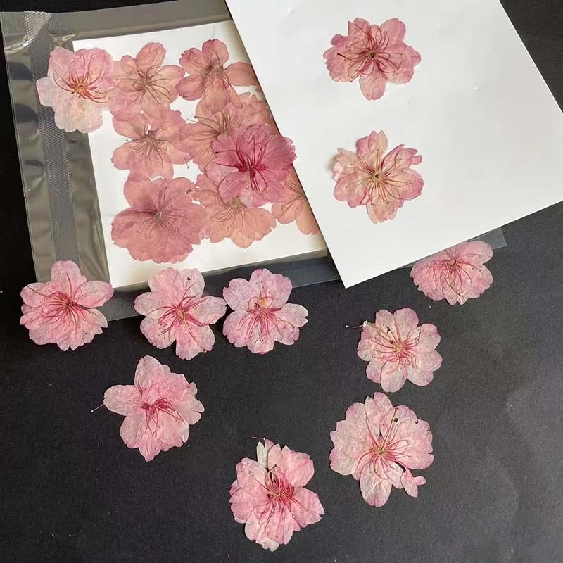 3-4.5cm/24pc real natural seco - Resin Art Rose Petals avaliação e preço
